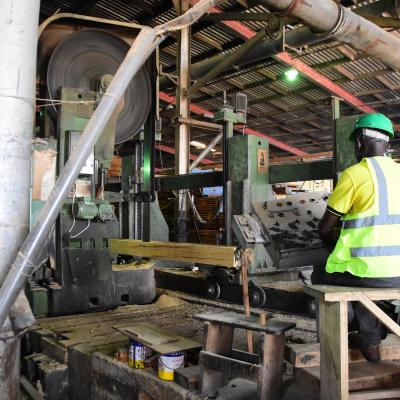 Sawmill Department